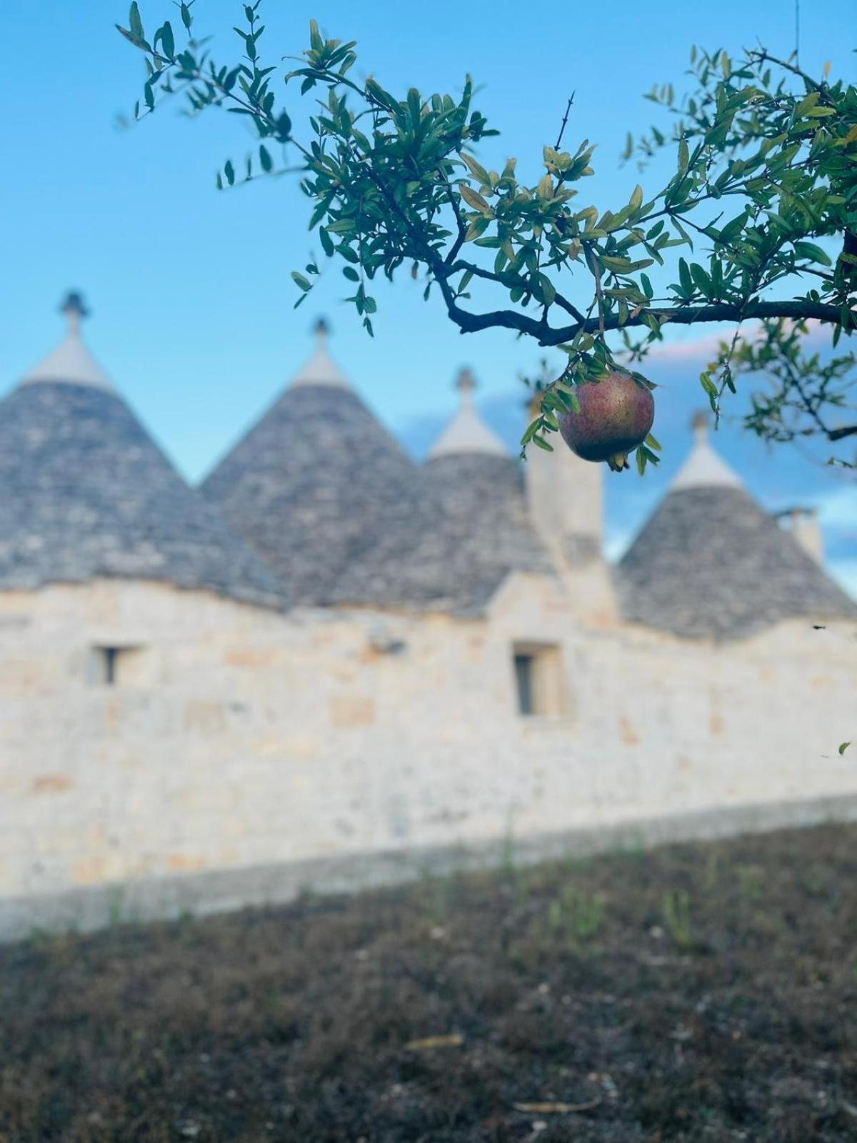 Scardino Trulli Ξενοδοχείο Locorotondo Εξωτερικό φωτογραφία
